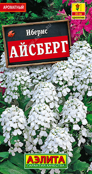 Айсберг