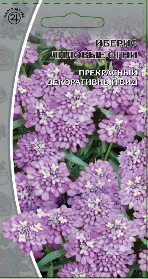 Лиловые огни