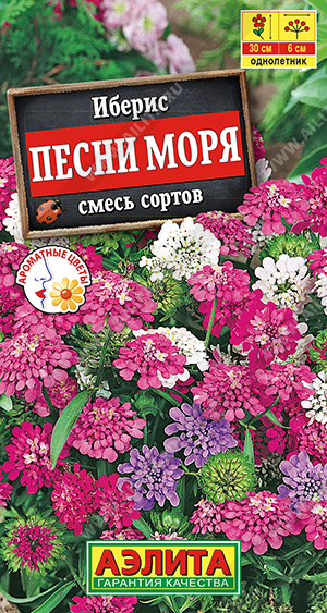 Песни моря
