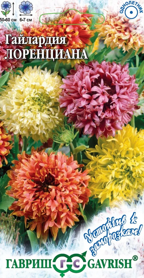 Лоренциана смесь окрасок