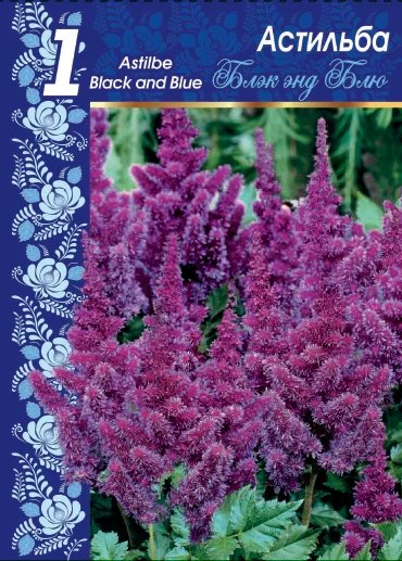 Блэк энд Блю