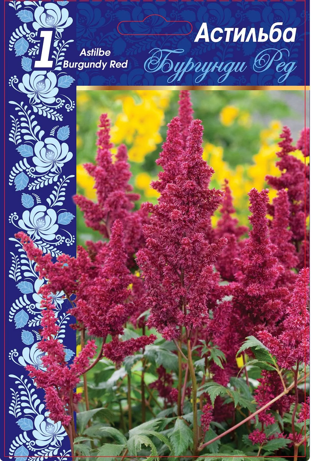 Бургунди Ред