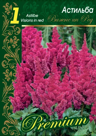 Вижнс ин Ред