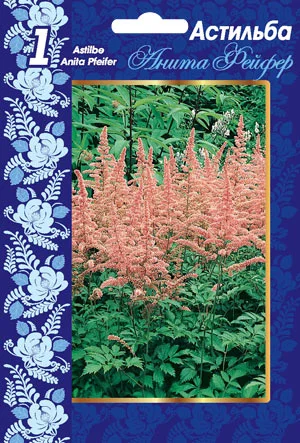 Анита Фейфер