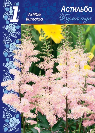 Арендса Бумальда