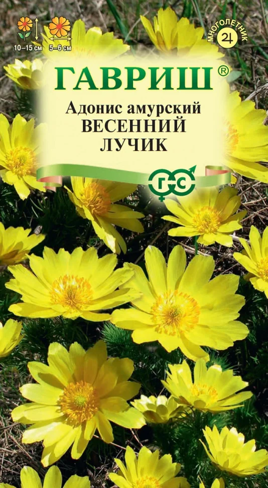 Весенний лучик