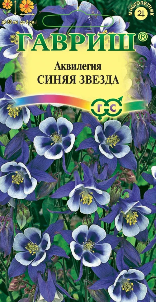Синяя Звезда