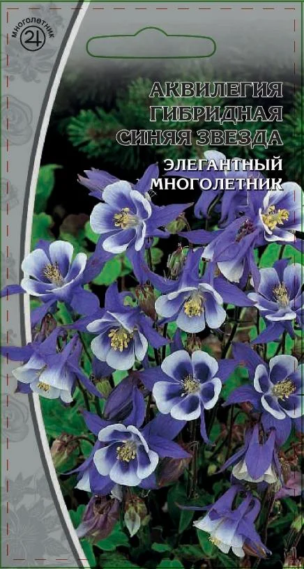 Миниатюра изображения сорта Синяя Звезда