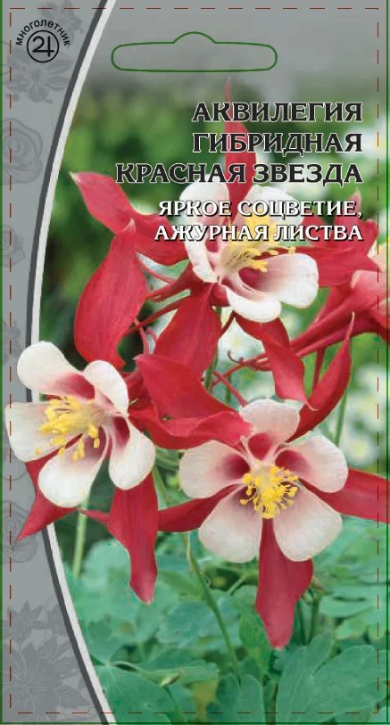 Миниатюра изображения сорта Красная Звезда