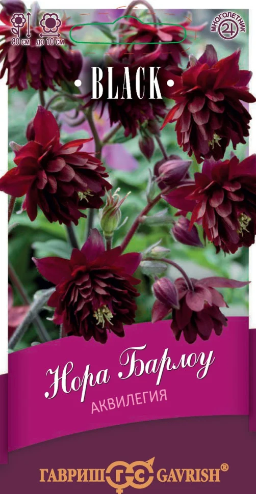 Нора Барлоу