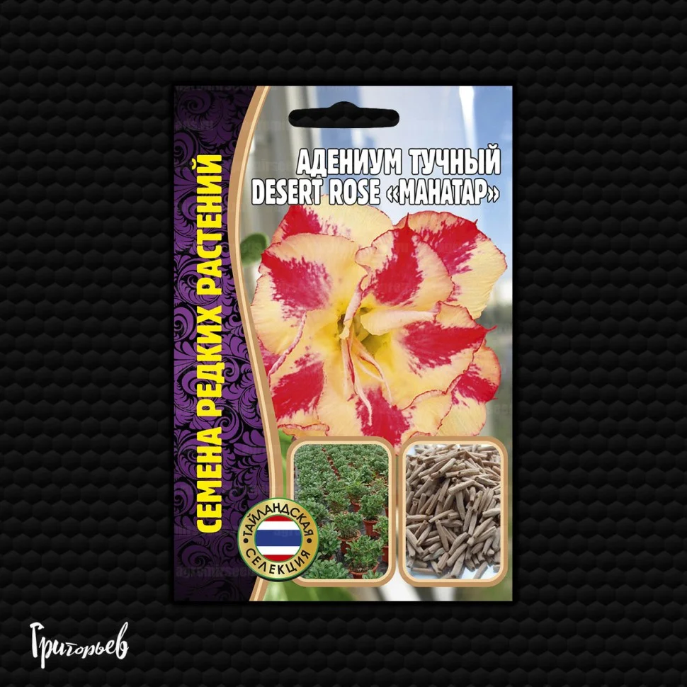 Белая Звезда