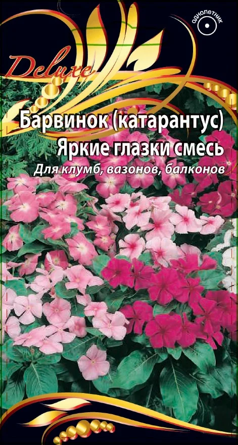 Яркие глазки