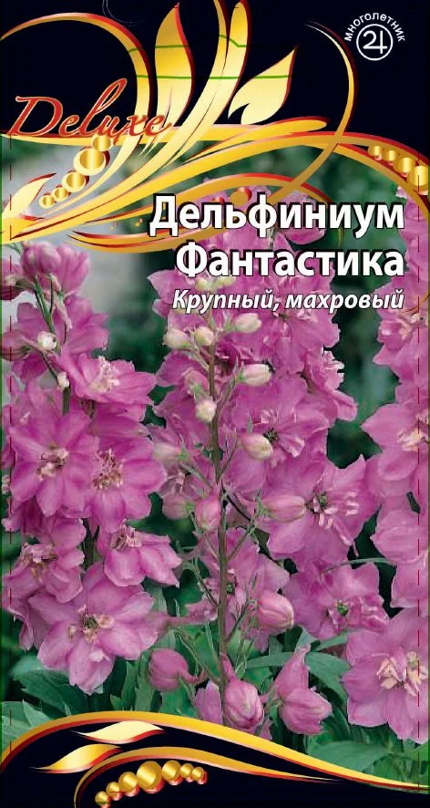 Миниатюра изображения сорта Фантастика