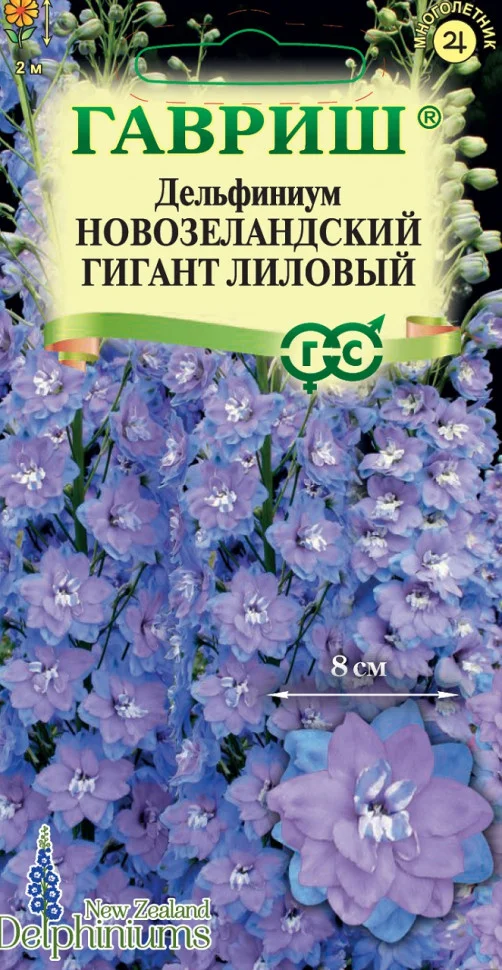 Новозеландский гигант лиловый махровый