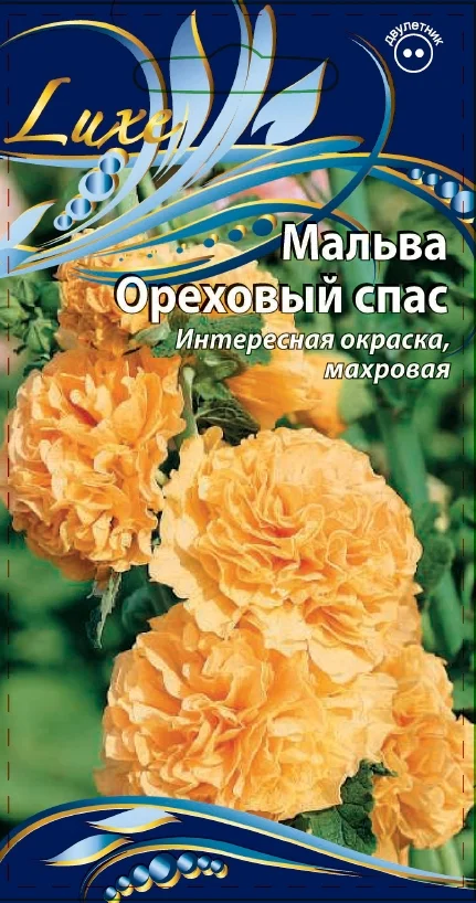 Миниатюра изображения сорта Ореховый спас