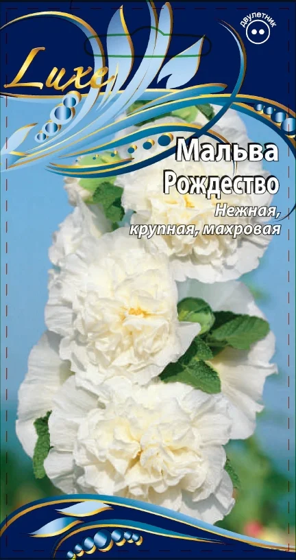 Миниатюра изображения сорта Рождество