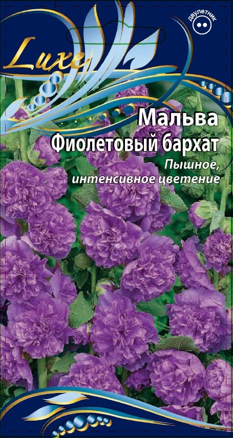 Миниатюра изображения сорта Фиолетовый бархат