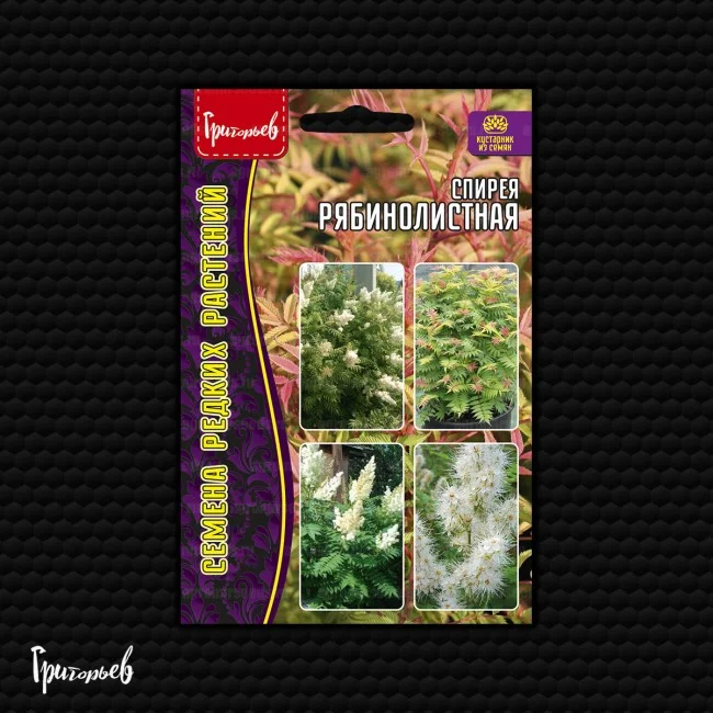 Рябинолистная