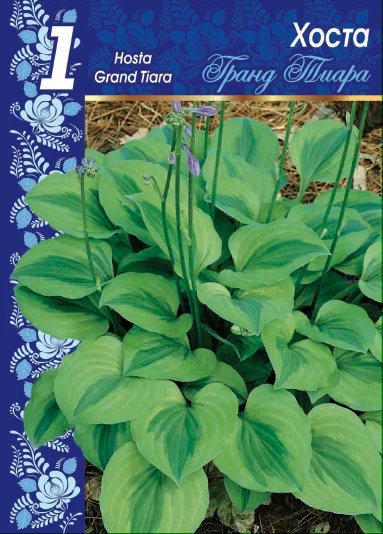 Гранд Тиара