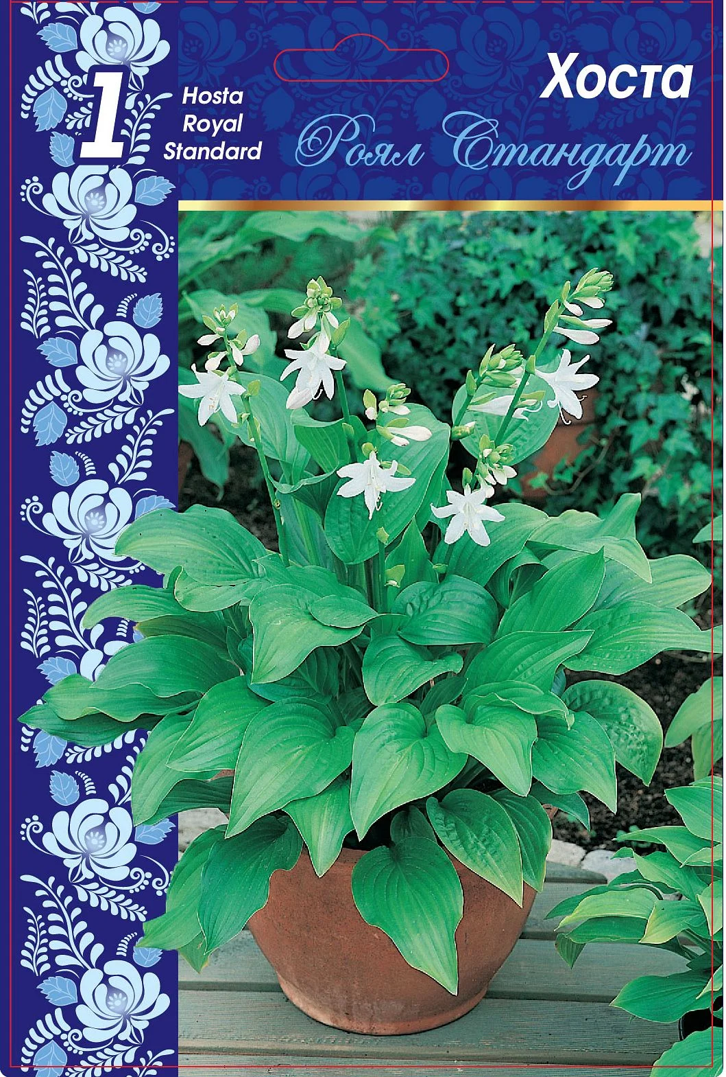 Роял Стандарт