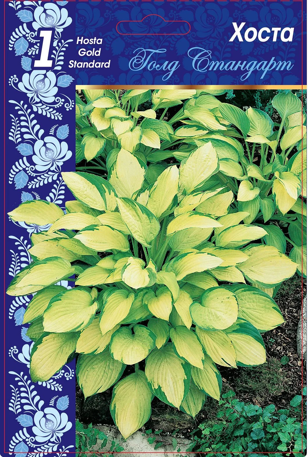 Голд стандарт