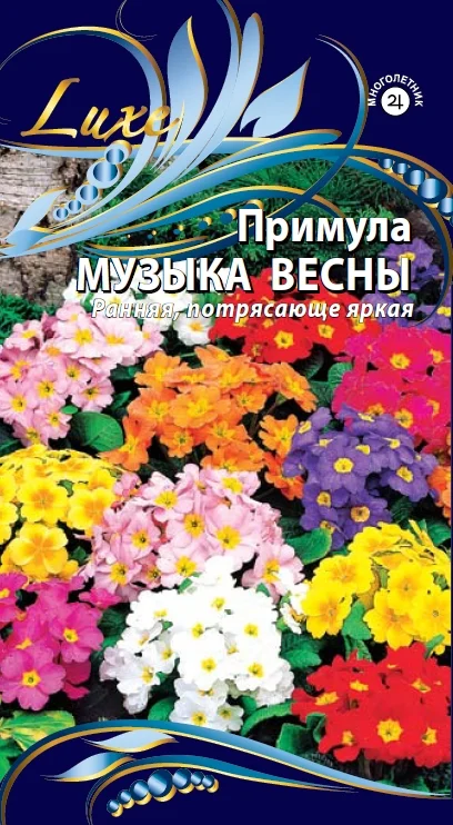 Музыка весны