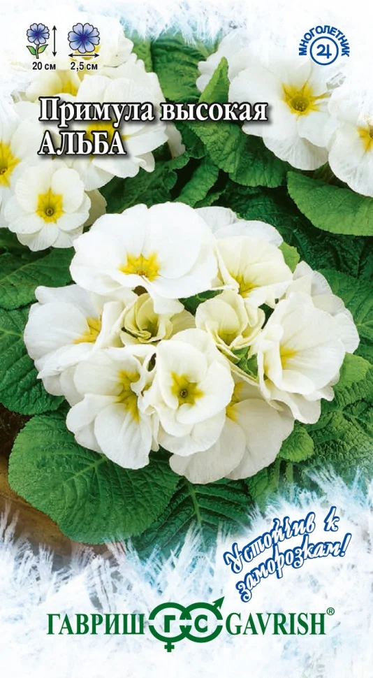 Альба (Вайт)