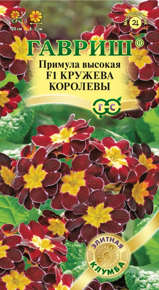 Кружева королевы