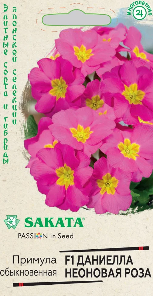 Даниелла неоновая роза