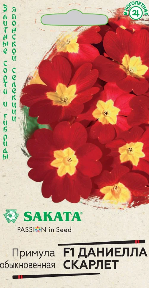 Даниелла скарле