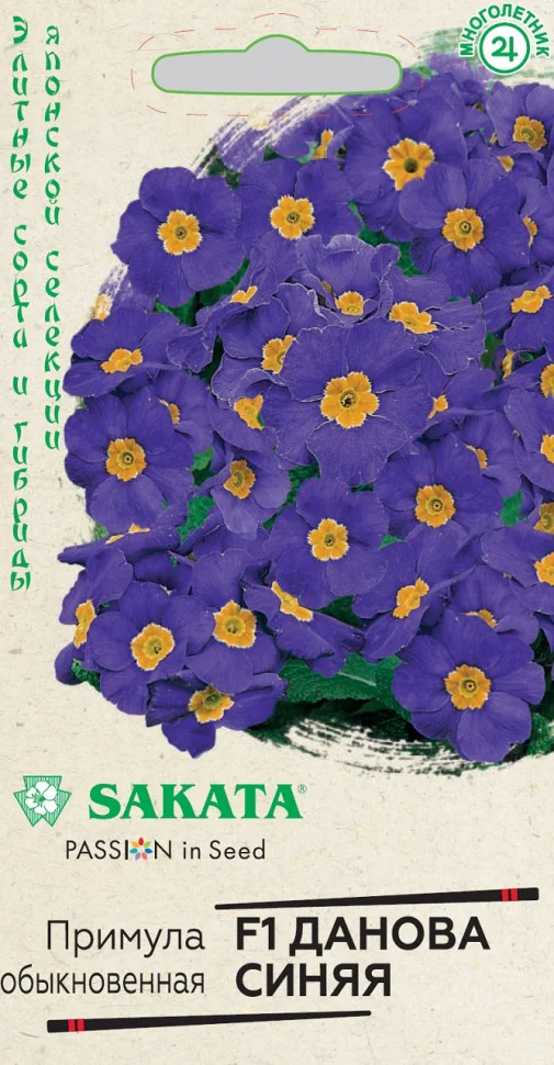 Данова синяя