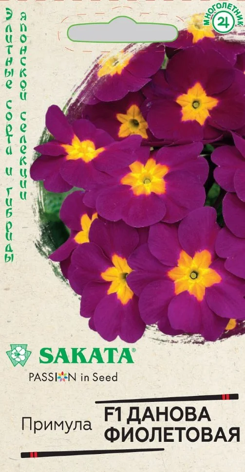 Данова фиолетовая