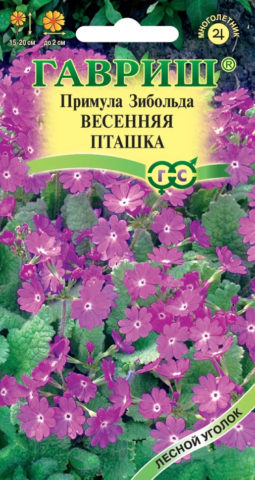 Весенняя пташка