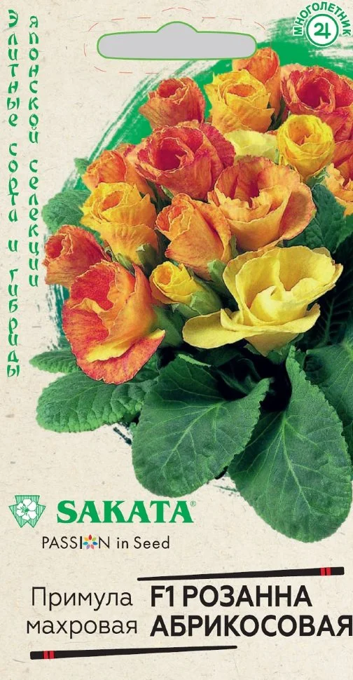 Розанна абрикосовая
