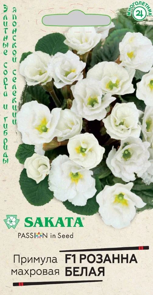 Розанна белая