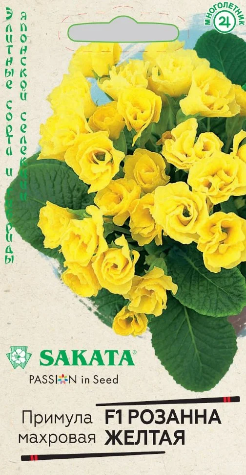 Розанна желтая