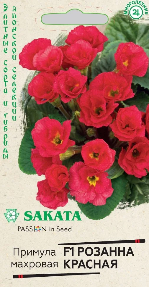 Розанна красная