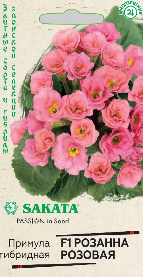 Розанна розовая