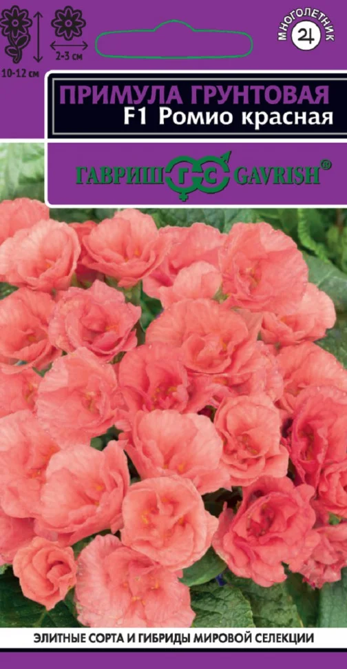 Ромио красная