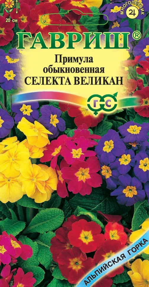Великан