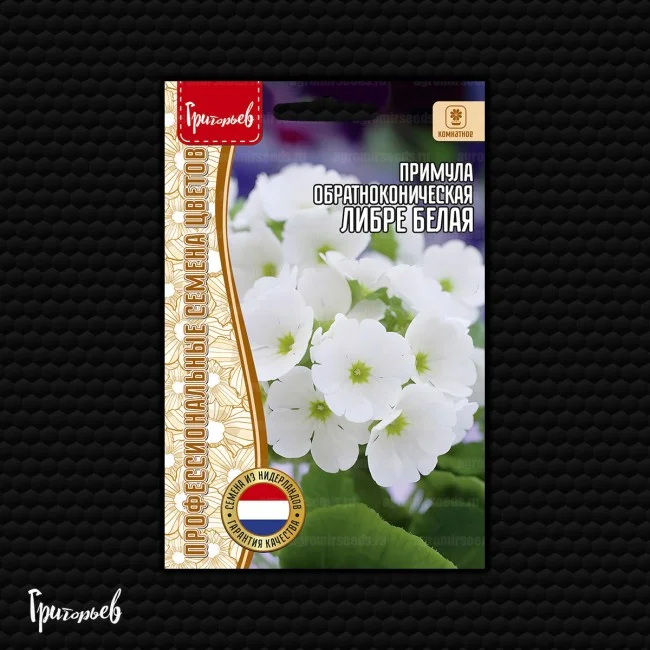 Либре Белая