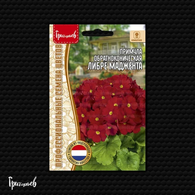 Либре Маджента