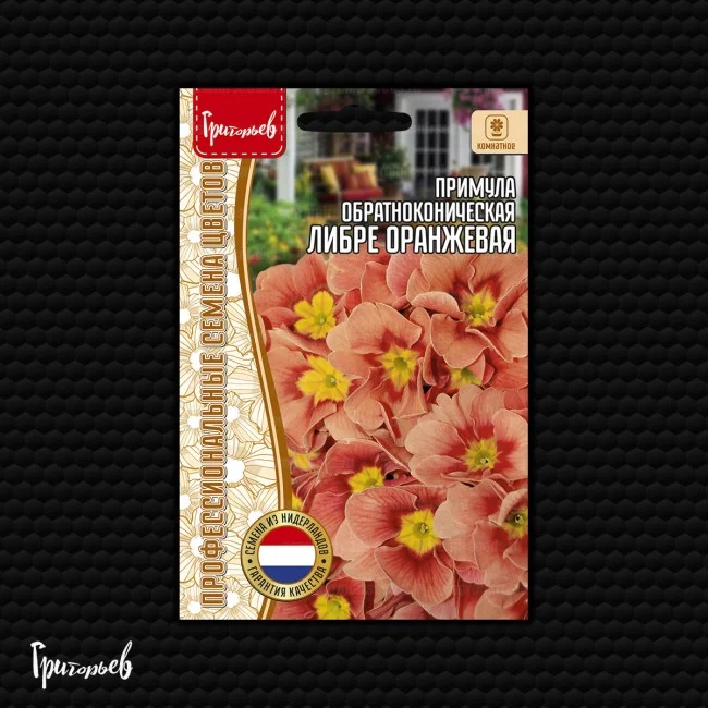 Либре Оранжевая