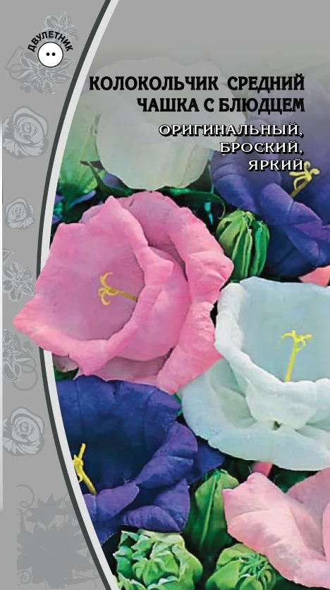 Миниатюра изображения сорта Чашка с блюдцем (средний)