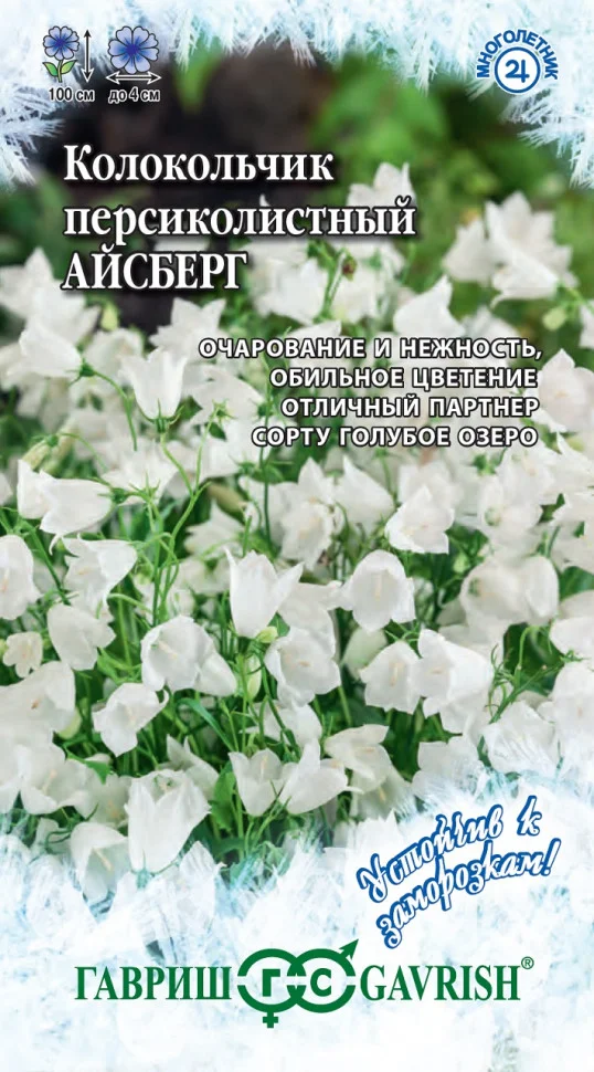 Айсберг