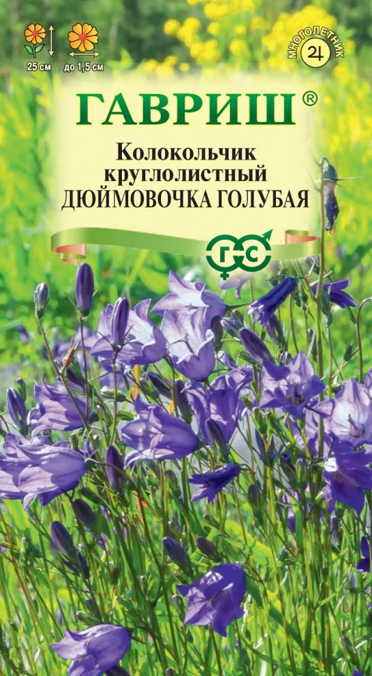 Дюймовочка голубая 