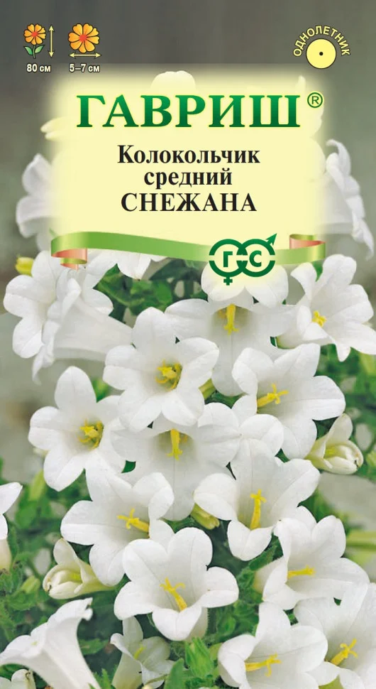 Снежана