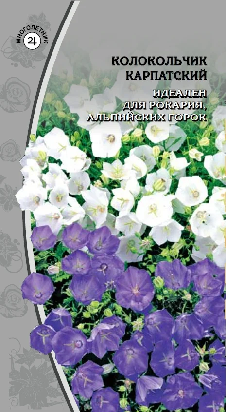 Карпатский