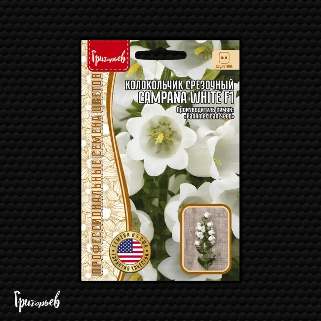 Campana White