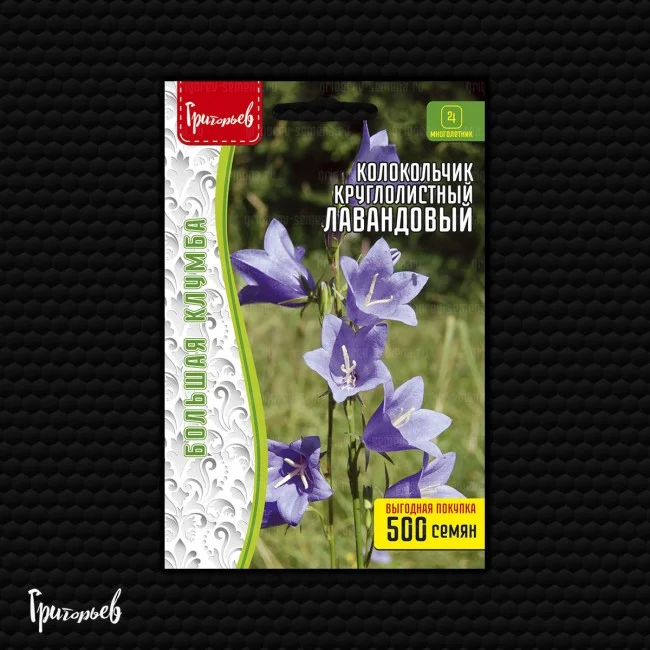 Лавандовый круглолистный